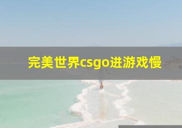 完美世界csgo进游戏慢