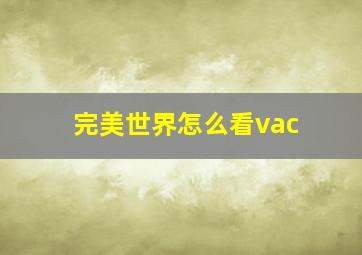 完美世界怎么看vac