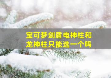 宝可梦剑盾电神柱和龙神柱只能选一个吗