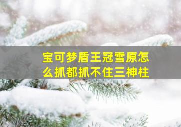 宝可梦盾王冠雪原怎么抓都抓不住三神柱