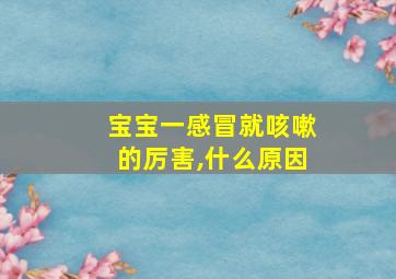 宝宝一感冒就咳嗽的厉害,什么原因