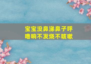 宝宝没鼻涕鼻子呼噜响不发烧不咳嗽