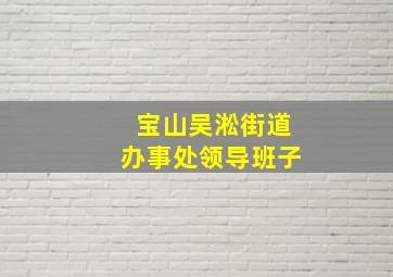 宝山吴淞街道办事处领导班子