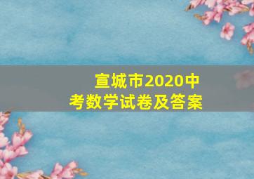 宣城市2020中考数学试卷及答案