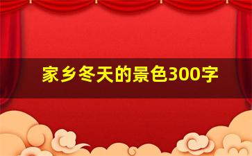 家乡冬天的景色300字