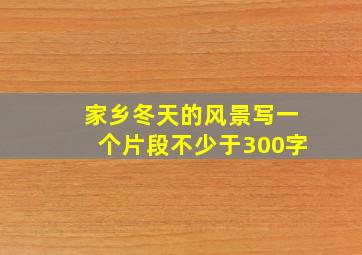 家乡冬天的风景写一个片段不少于300字