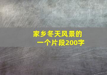 家乡冬天风景的一个片段200字