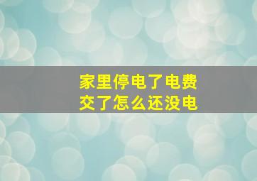 家里停电了电费交了怎么还没电