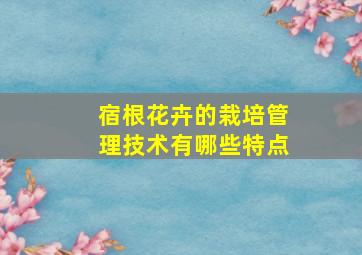 宿根花卉的栽培管理技术有哪些特点