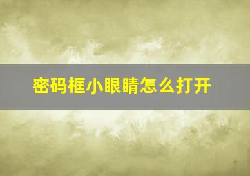 密码框小眼睛怎么打开