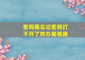 密码箱忘记密码打不开了咋办呢视频