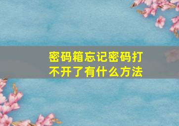 密码箱忘记密码打不开了有什么方法