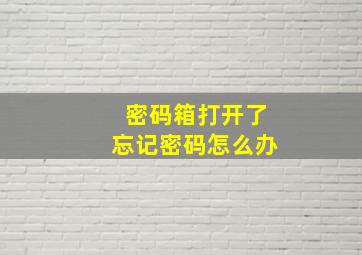 密码箱打开了忘记密码怎么办