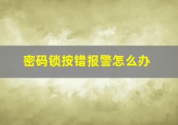 密码锁按错报警怎么办