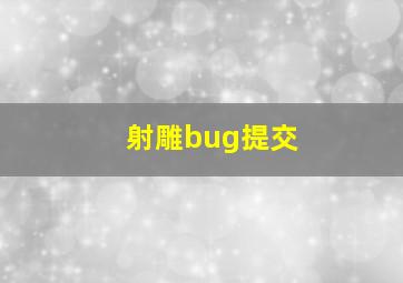 射雕bug提交