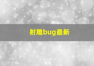 射雕bug最新