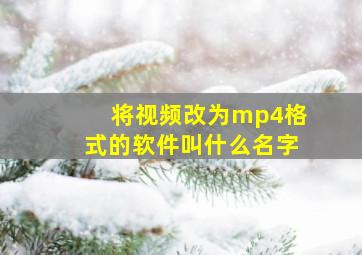 将视频改为mp4格式的软件叫什么名字