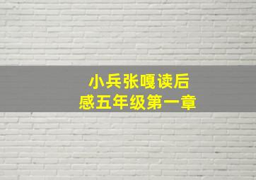 小兵张嘎读后感五年级第一章