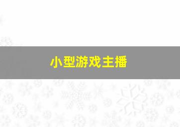 小型游戏主播