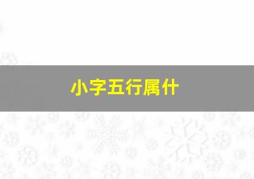 小字五行属什