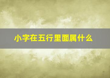 小字在五行里面属什么