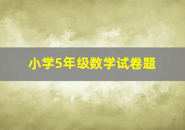 小学5年级数学试卷题