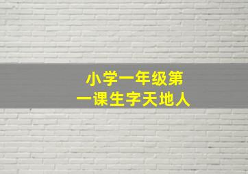 小学一年级第一课生字天地人