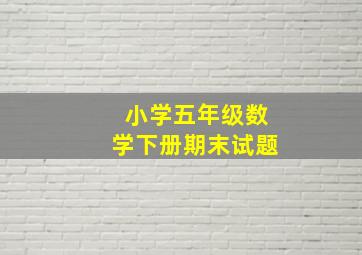 小学五年级数学下册期末试题