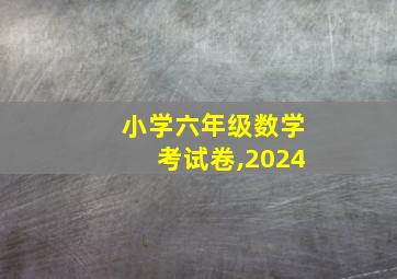 小学六年级数学考试卷,2024