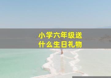 小学六年级送什么生日礼物