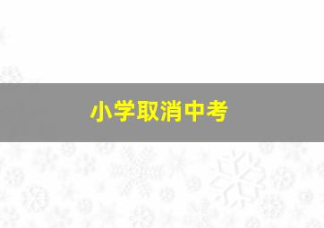 小学取消中考