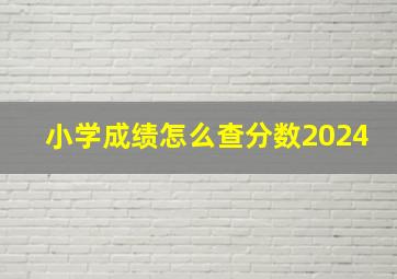 小学成绩怎么查分数2024