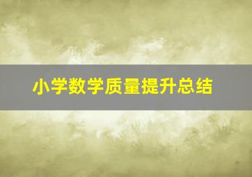 小学数学质量提升总结