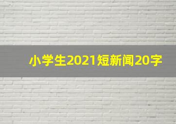 小学生2021短新闻20字