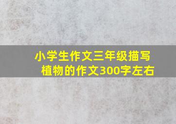 小学生作文三年级描写植物的作文300字左右