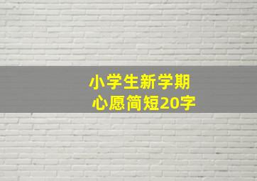 小学生新学期心愿简短20字