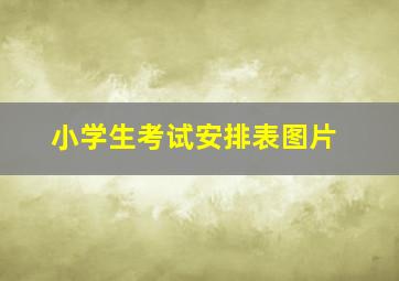 小学生考试安排表图片