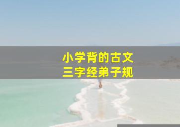 小学背的古文三字经弟子规