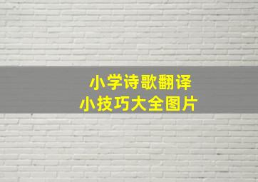 小学诗歌翻译小技巧大全图片