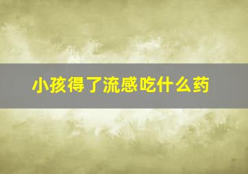 小孩得了流感吃什么药