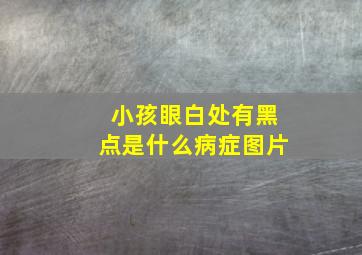 小孩眼白处有黑点是什么病症图片