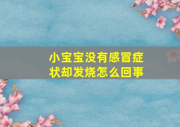 小宝宝没有感冒症状却发烧怎么回事