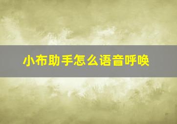 小布助手怎么语音呼唤