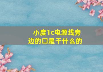 小度1c电源线旁边的口是干什么的