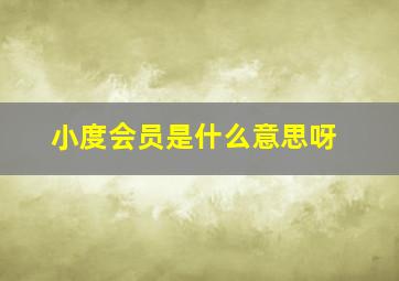 小度会员是什么意思呀