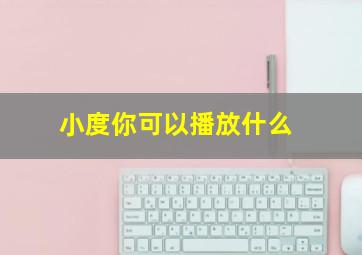 小度你可以播放什么