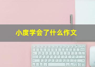 小度学会了什么作文