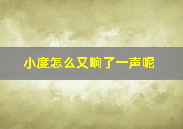 小度怎么又响了一声呢