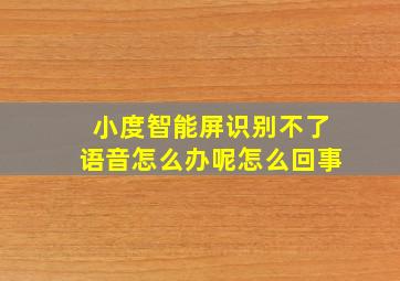 小度智能屏识别不了语音怎么办呢怎么回事