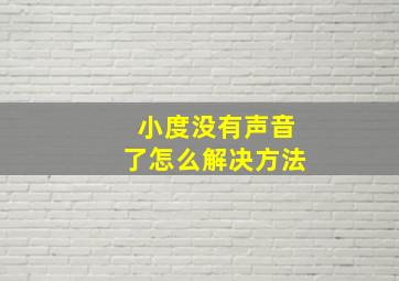 小度没有声音了怎么解决方法